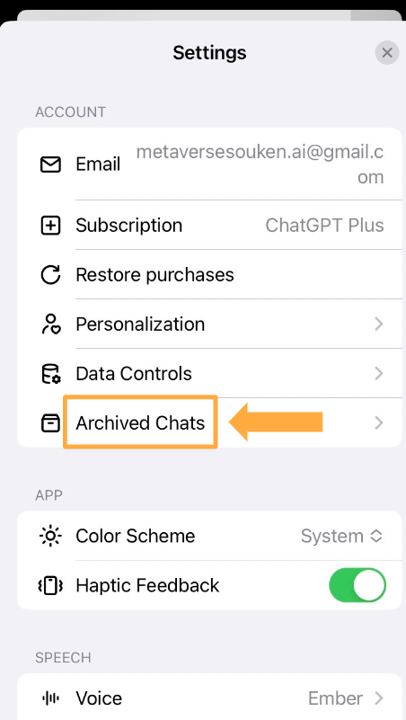 「Archived Chats」という箇所をクリック