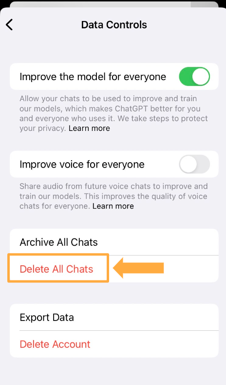 「Delete All Chats」という部分をクリック