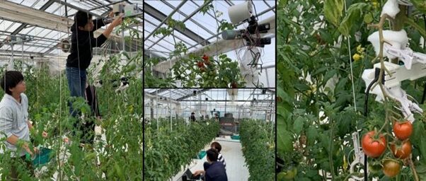 農業　データ活用による生産管理・品質向上