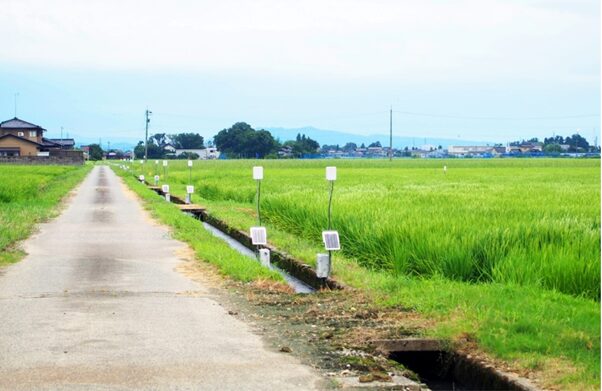 水門管理自動化システムの活用で、省力化・生産性の向上を実現