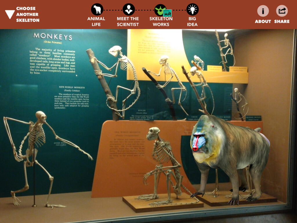 スミソニアン博物館：ARで古代生物を現実世界に蘇らせる仕掛けを導入