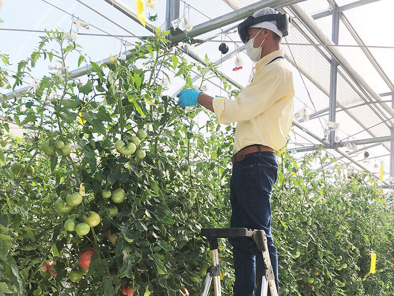 NTT東日本：ARグラスによる遠隔農作業支援により技術継承を促進