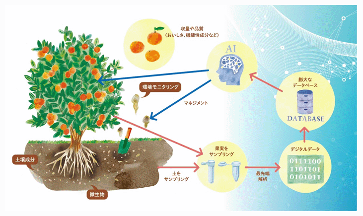 NTT西日本：農園の土壌・作物データ収集・解析の実証研究を実施