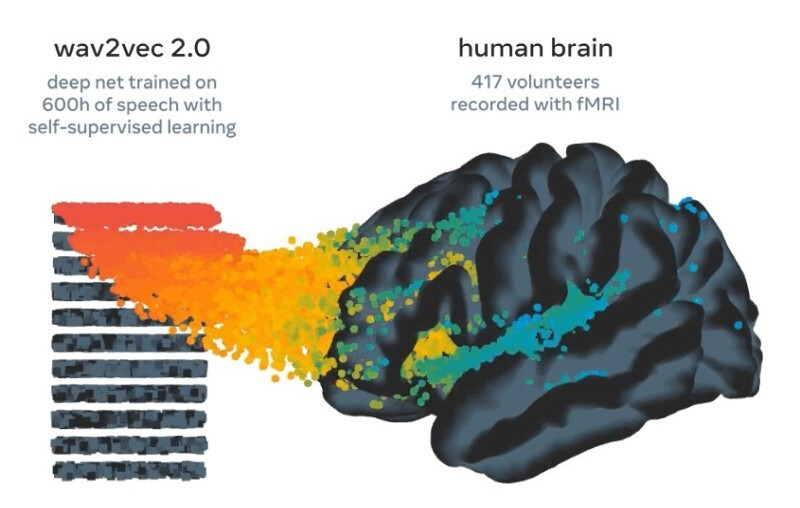 頭の外部に装着したデバイスから取得した脳の活動データを解析 Meta